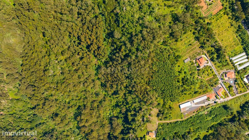 Terreno Rústico de 1150 m2 - Santa Cruz, Madeira