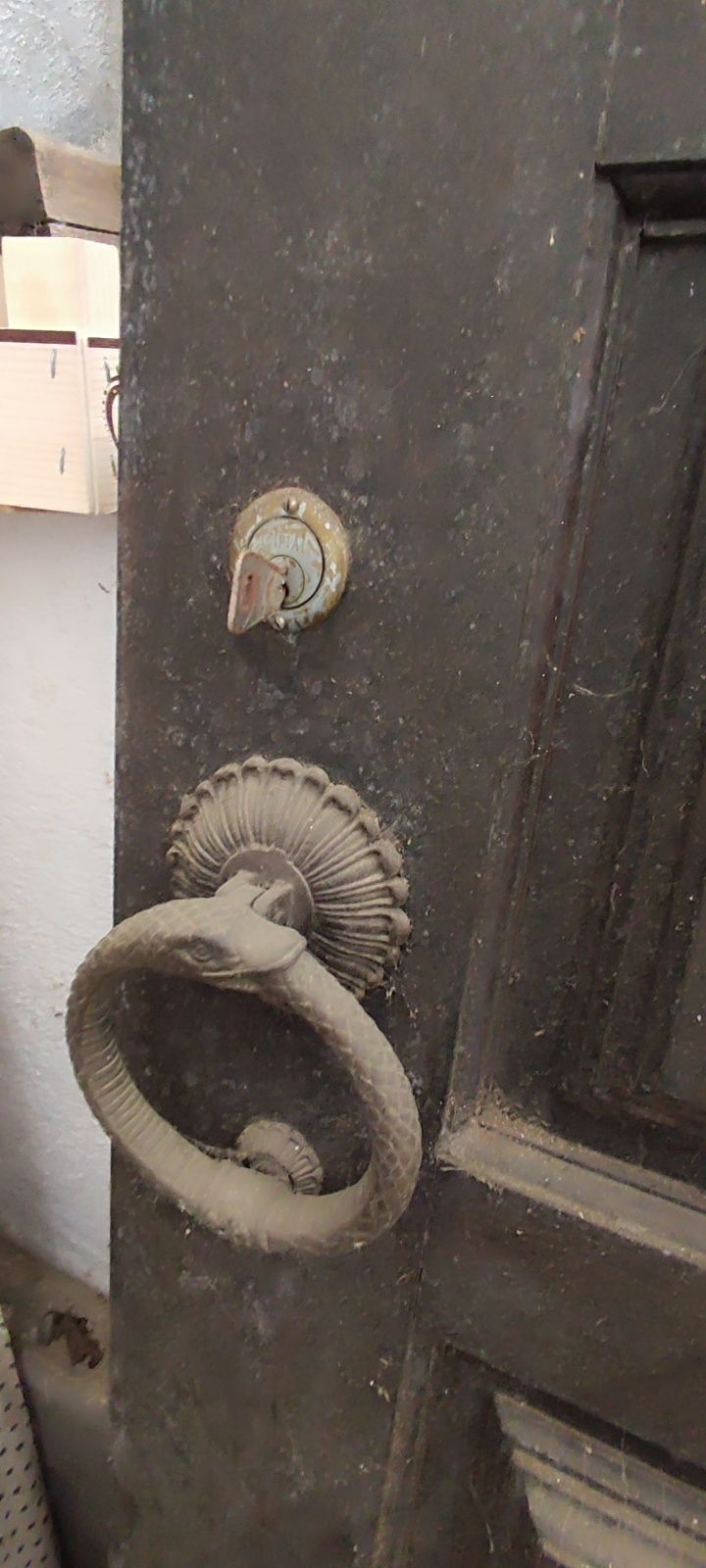 Porta madeira maciça (msubpira)