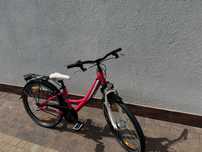 Rower Pegasus 24