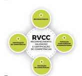 Apoio a trabalhos, Portfólio RVCC 9.º/12° ano (acelerador qualifica)