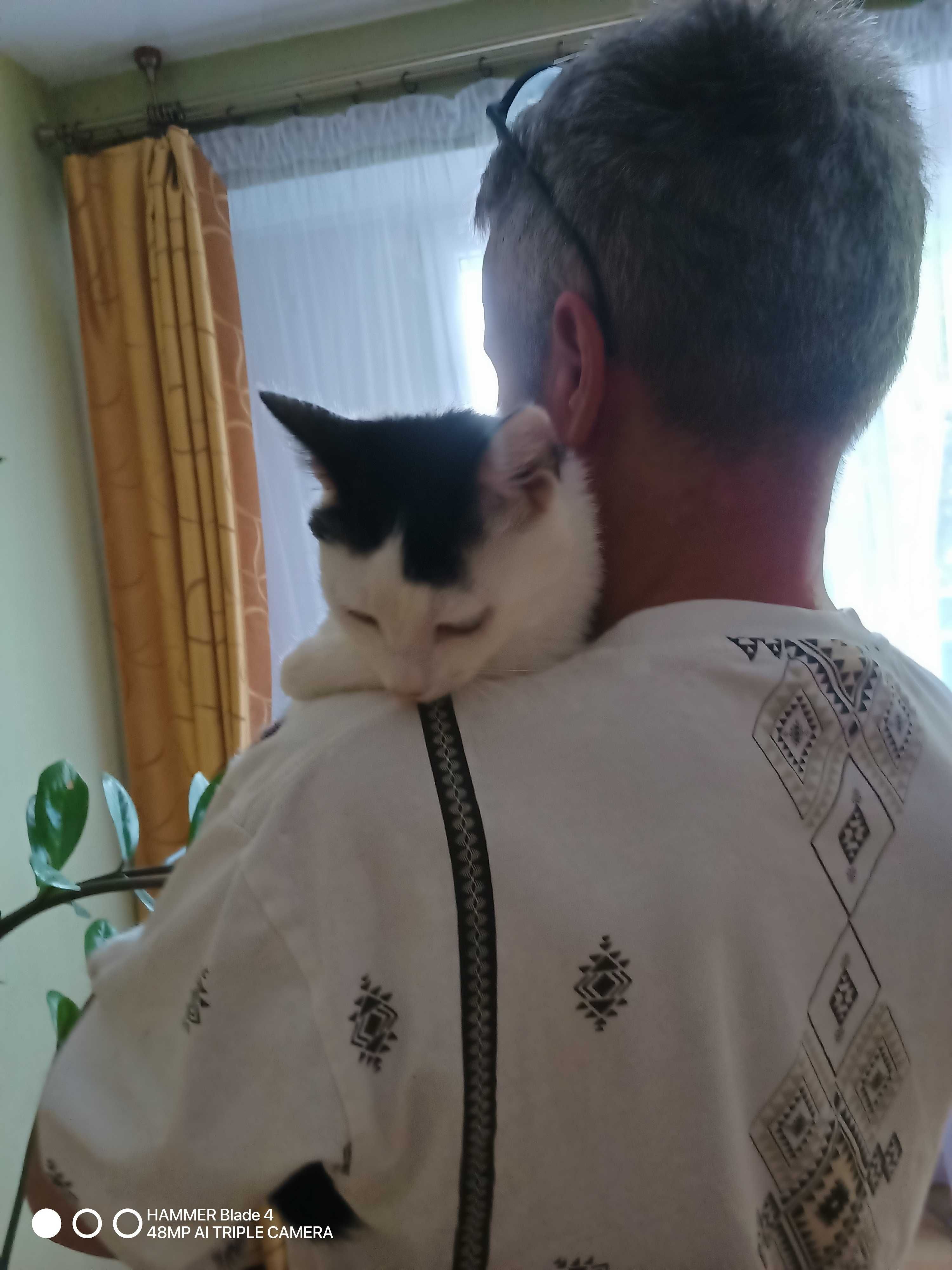 Franek kot w pelerynie szuka dobrego domu