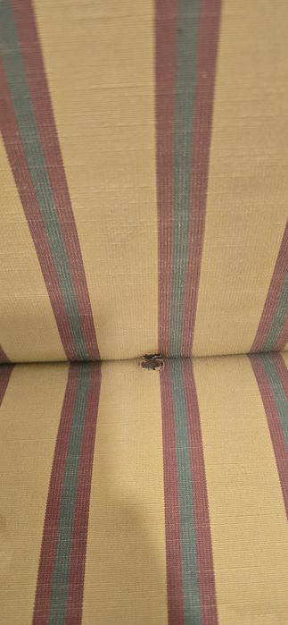 Cadeirão confortável riscas