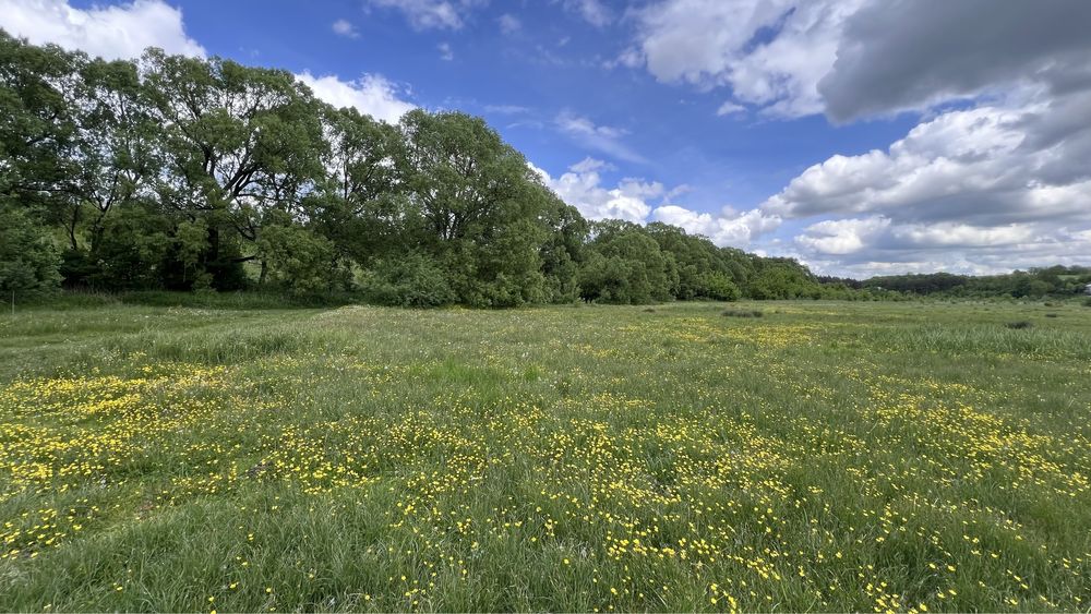 Продаж земельної ділянки Івачів