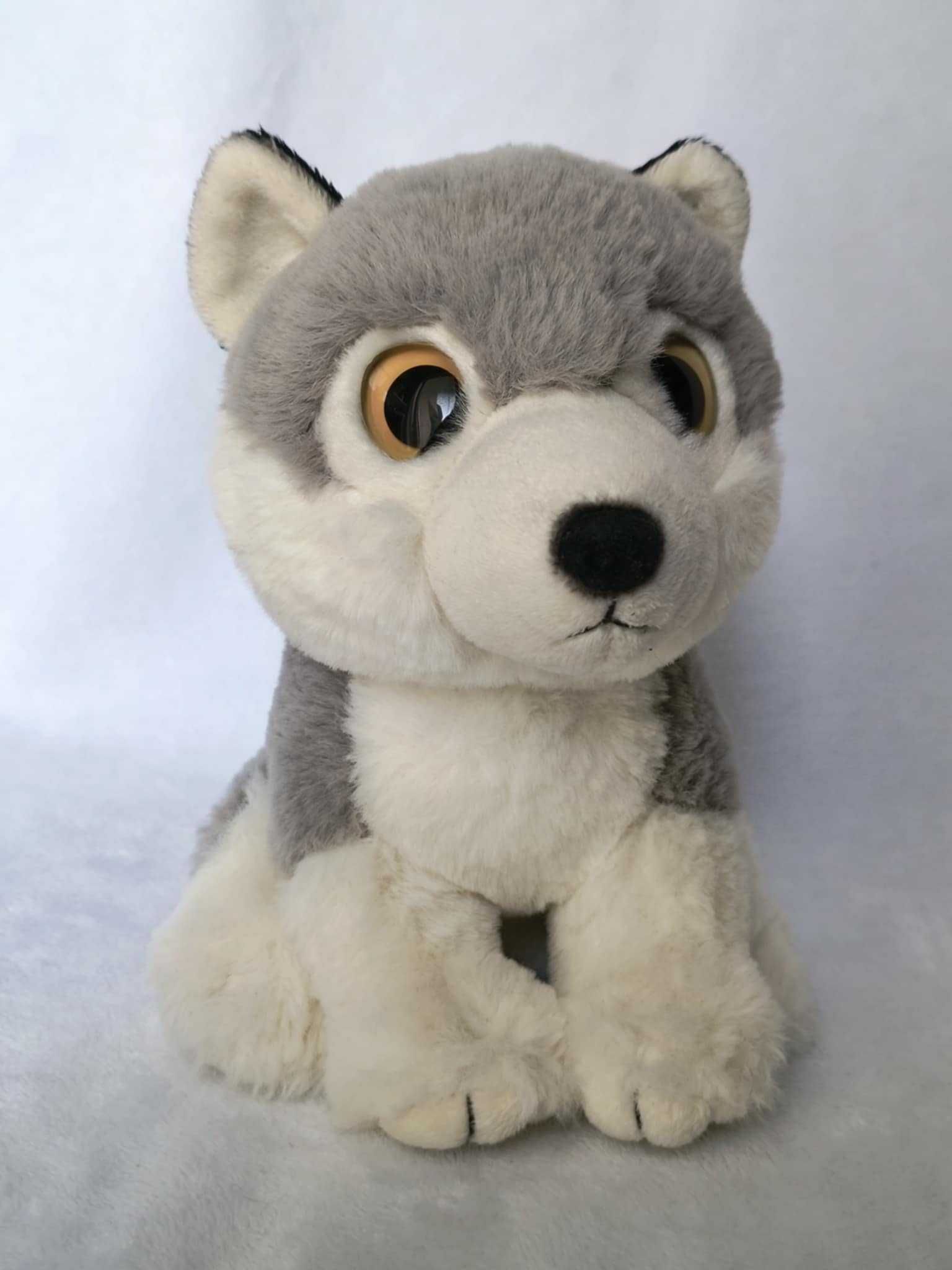 Maskotka z dużymi oczami piesek pies wilk szary Nature Planet husky