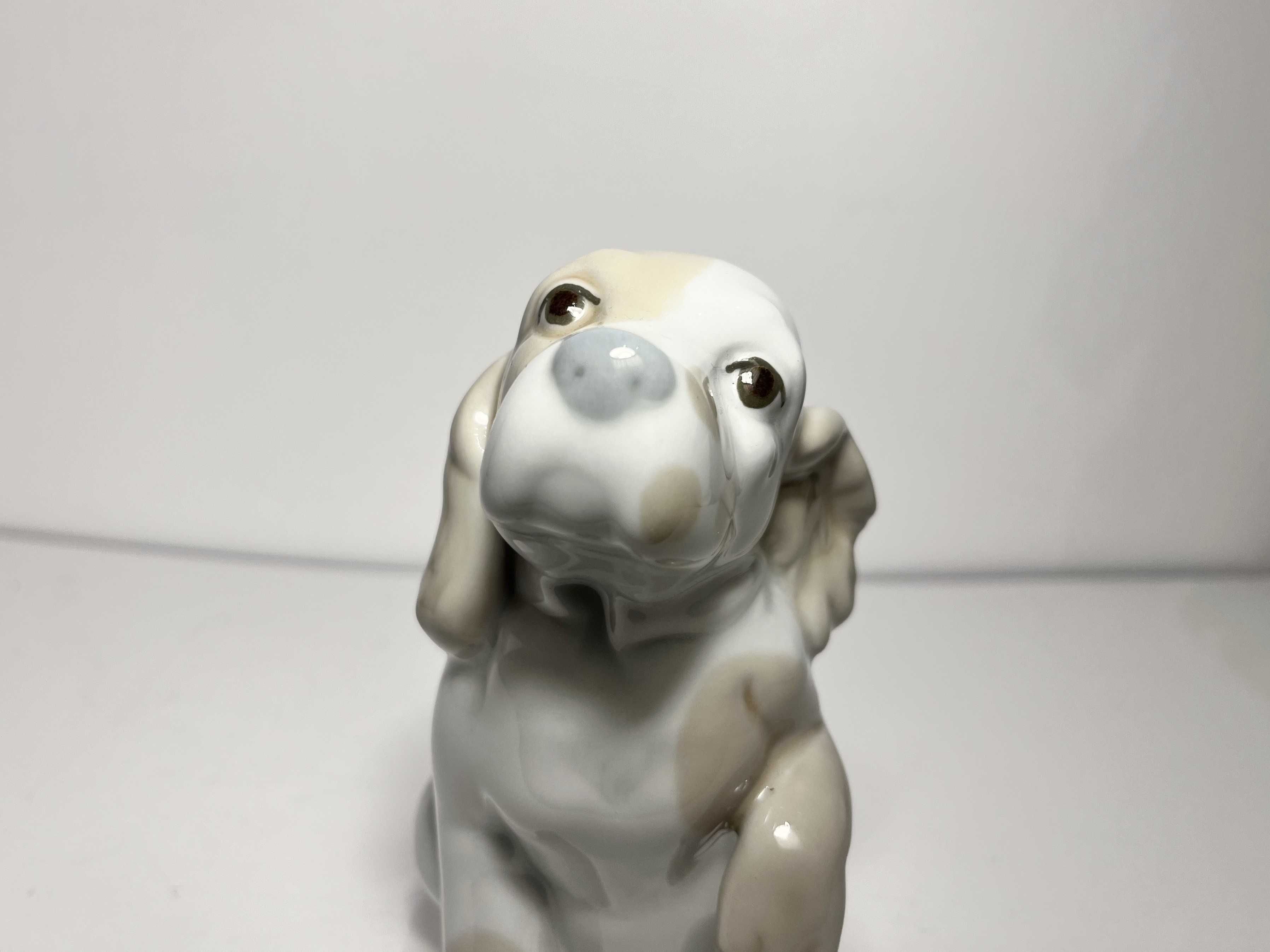 Figurka porcelanowa pies Cocker Spaniel- Miquel Requena Valencia