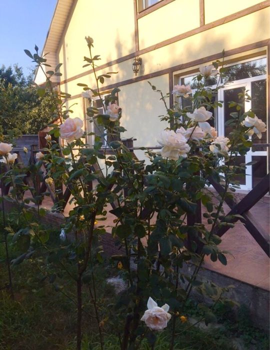 Оренда Будинка Осокорки м. Славутич 2 км