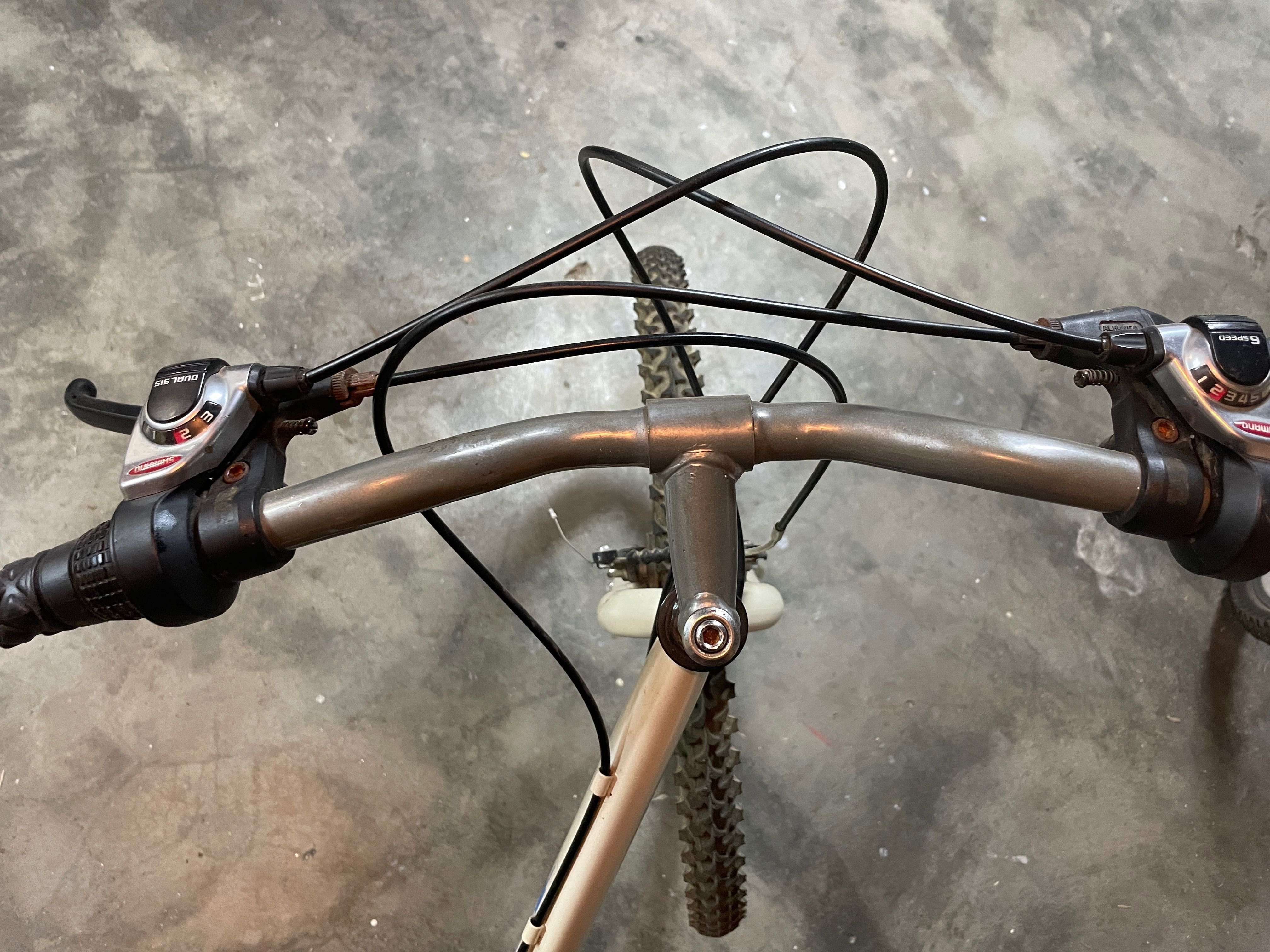 Bicicleta Branca