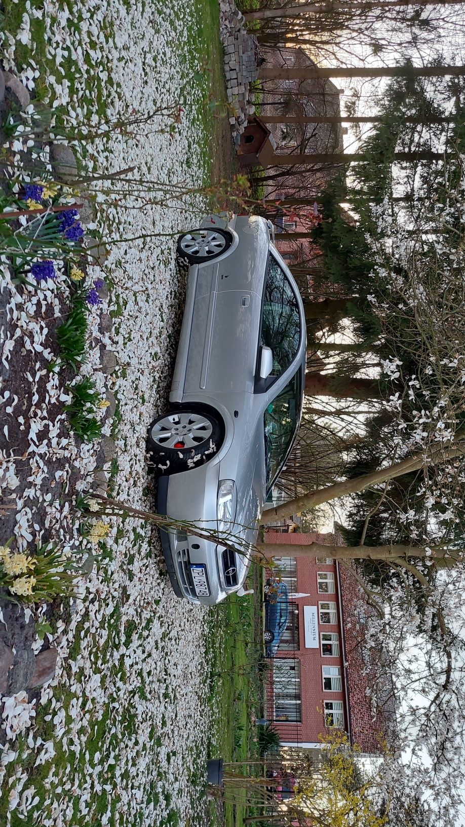 Opel Astra Bertone