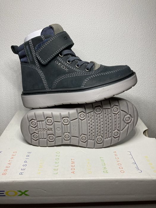 Хайтопи, черевик, снікерси Geox