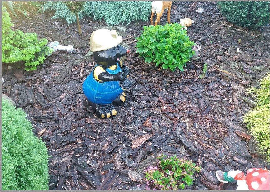 Kora z drzewa na podsypkę do kwiatów i krzewów