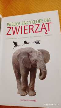 Wielka Encyclopedia Zwierząt