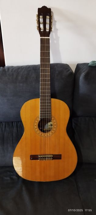 Vendo esta viola