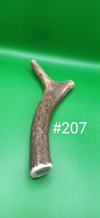 Gryzak z poroża jelenia XL 22 cm #207