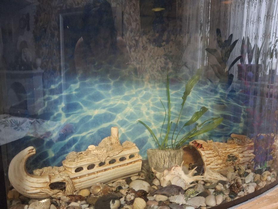 Продам акваріум з рибкамм