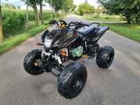 Quad Bashan ,Egl, Shineray Catbrier 200/250cc 4+1R Duża Rama !
