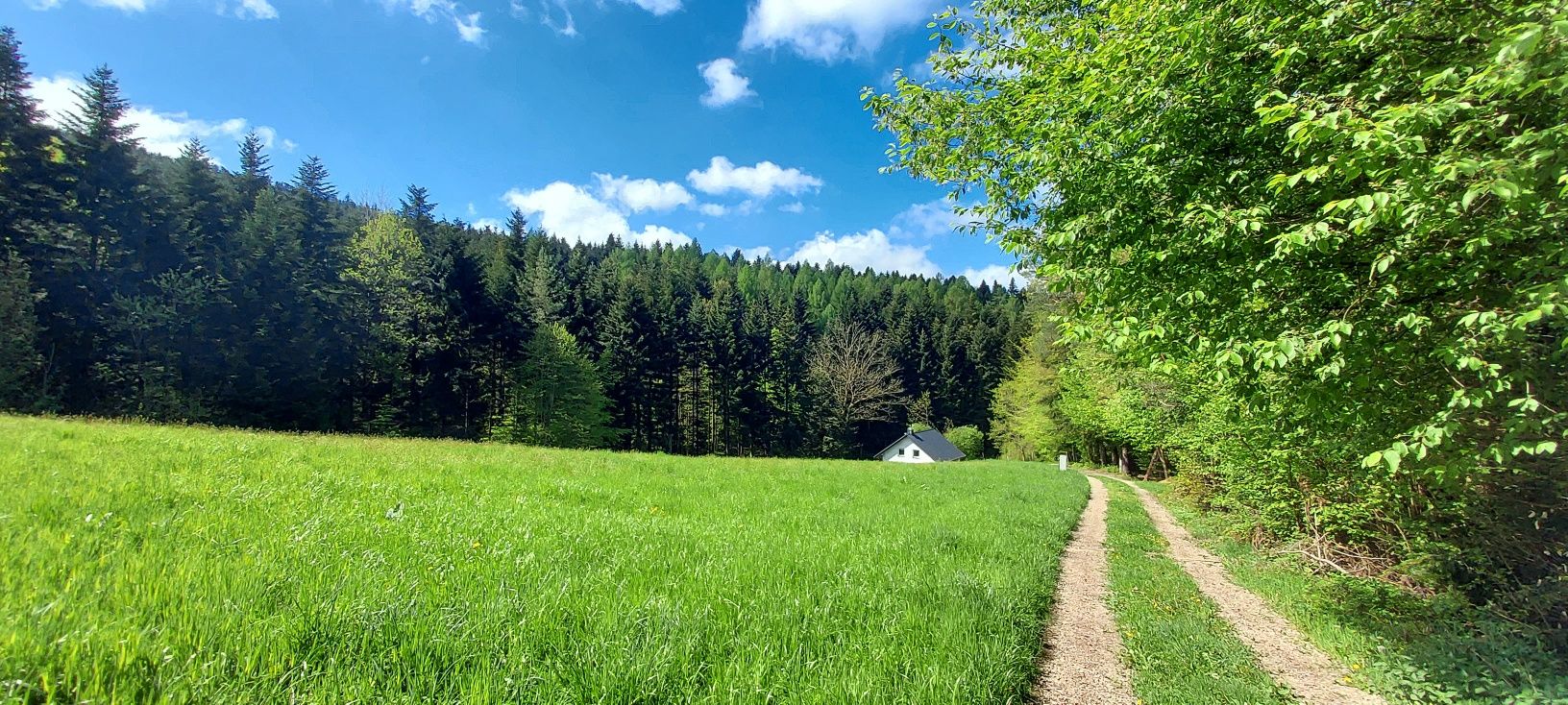 domek całoroczny na leśnej polanie z balią