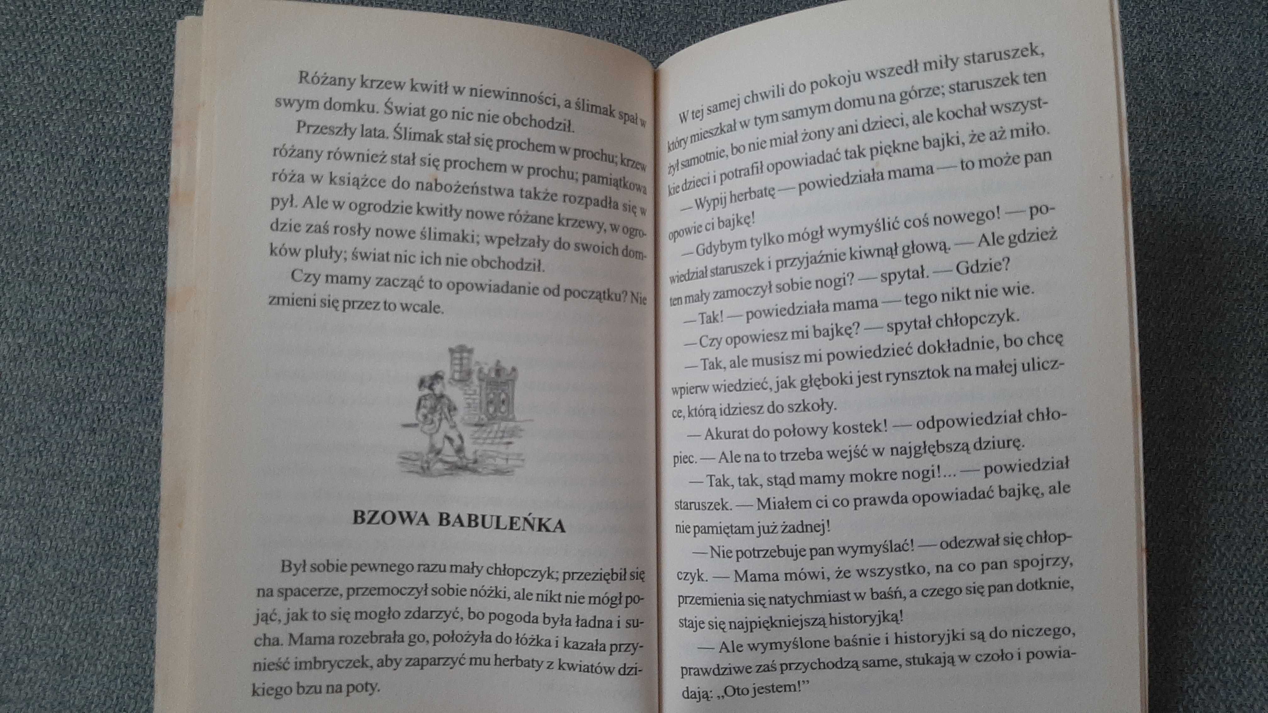 Księżniczka na ziarnku grochu i in. baśnie Andersen Jan Marcin Szancer
