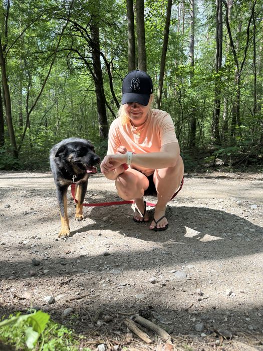 Wierny jak nikt – czeka na swojego człowieka
