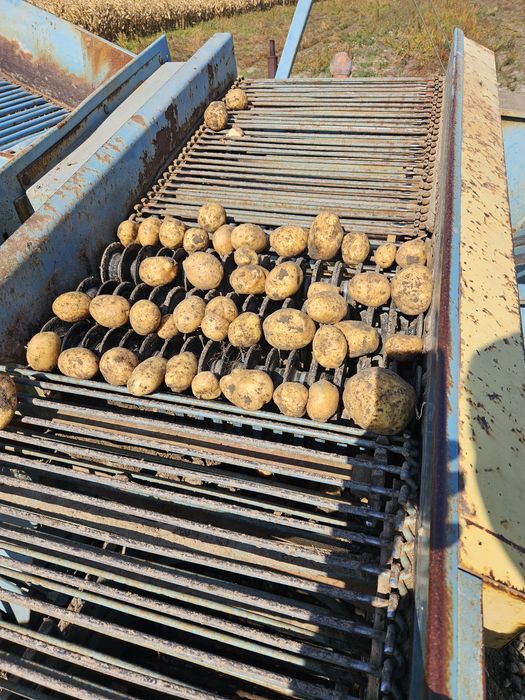 Na sprzedaż kombajn ziemniaczany Anna