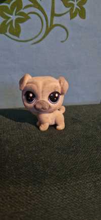 Figurka LPS Littlest Pet Shop szary pies piesek mops g5