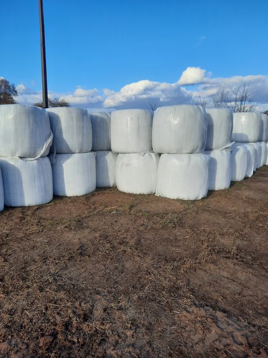 Sianokiszonka Sianokiszonki Siano trawy polne Transport