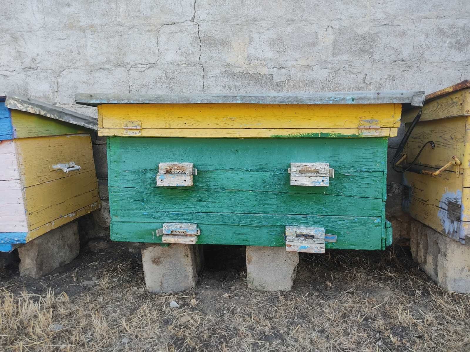 Продам вулики бу
