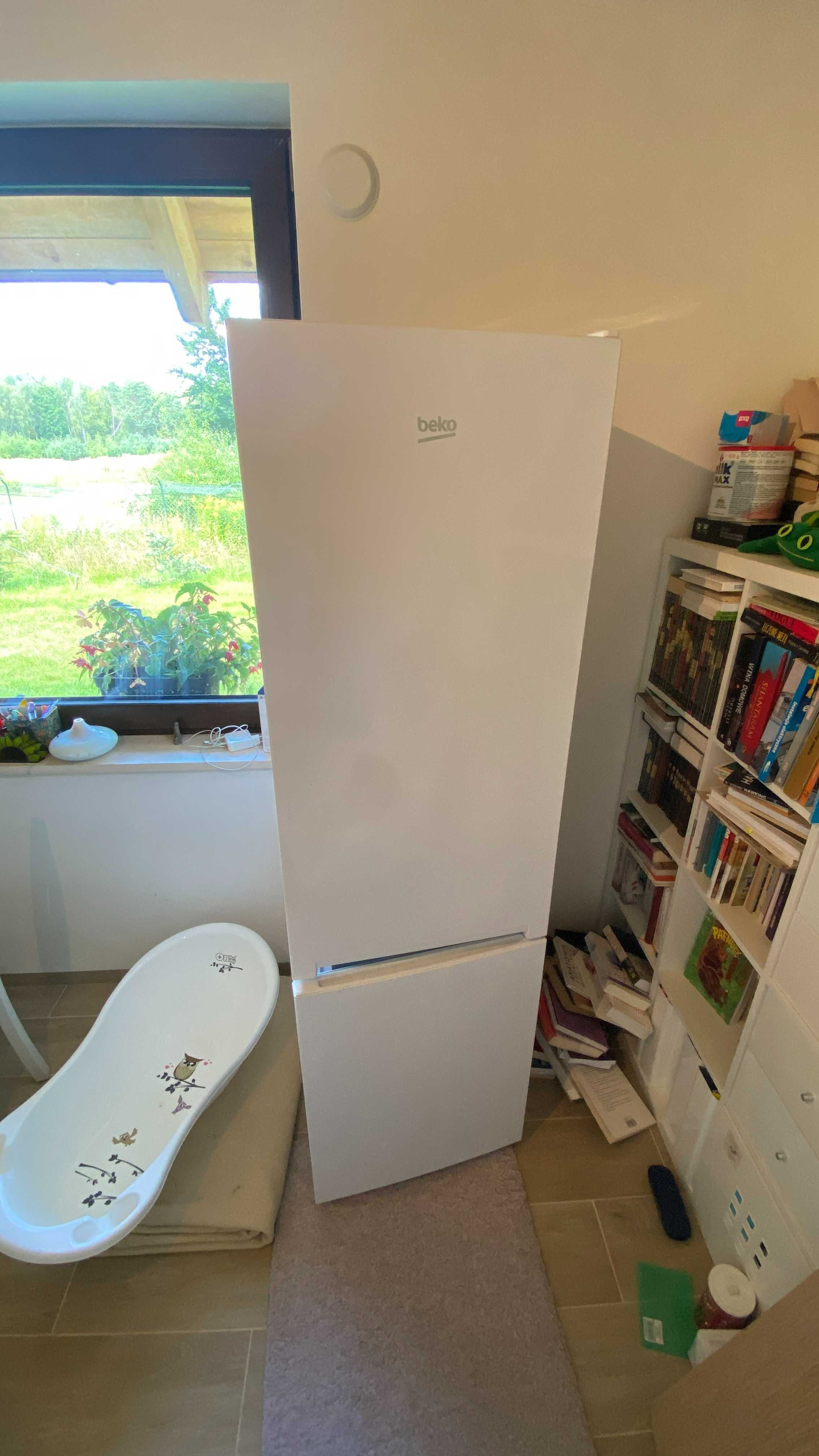 Lodówka Beko K54305 wysokość 180cm szerokość 54cm głębokość 57cm