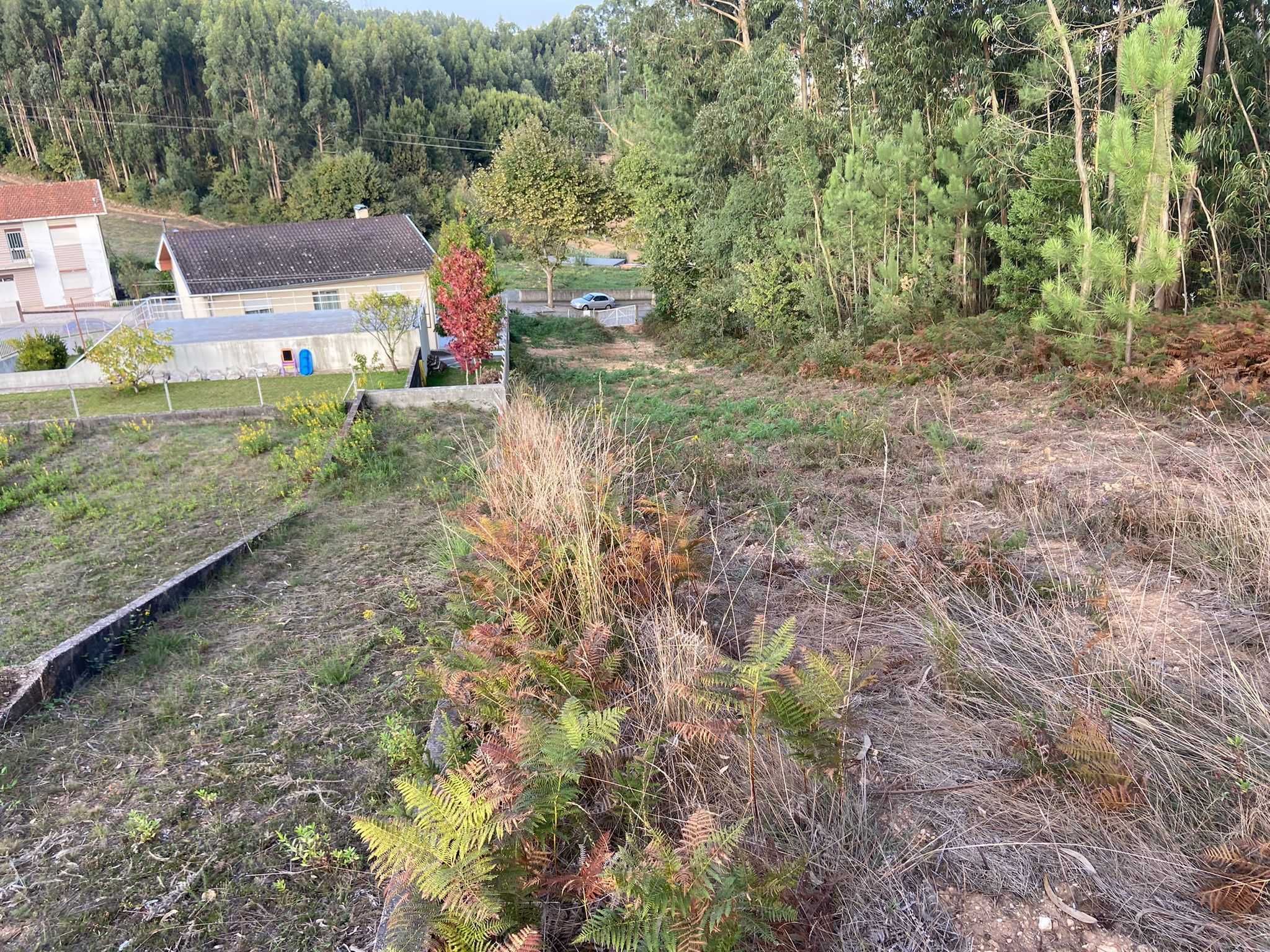 Terreno 793M2 C/Projeto Aprovado