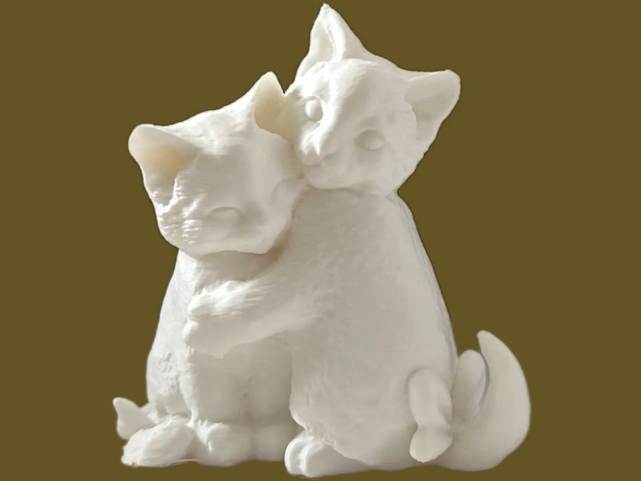 Gatinho Abraçador Adorável