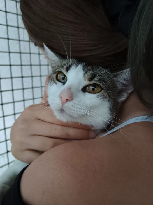 Kochana Zyzia szuka domu