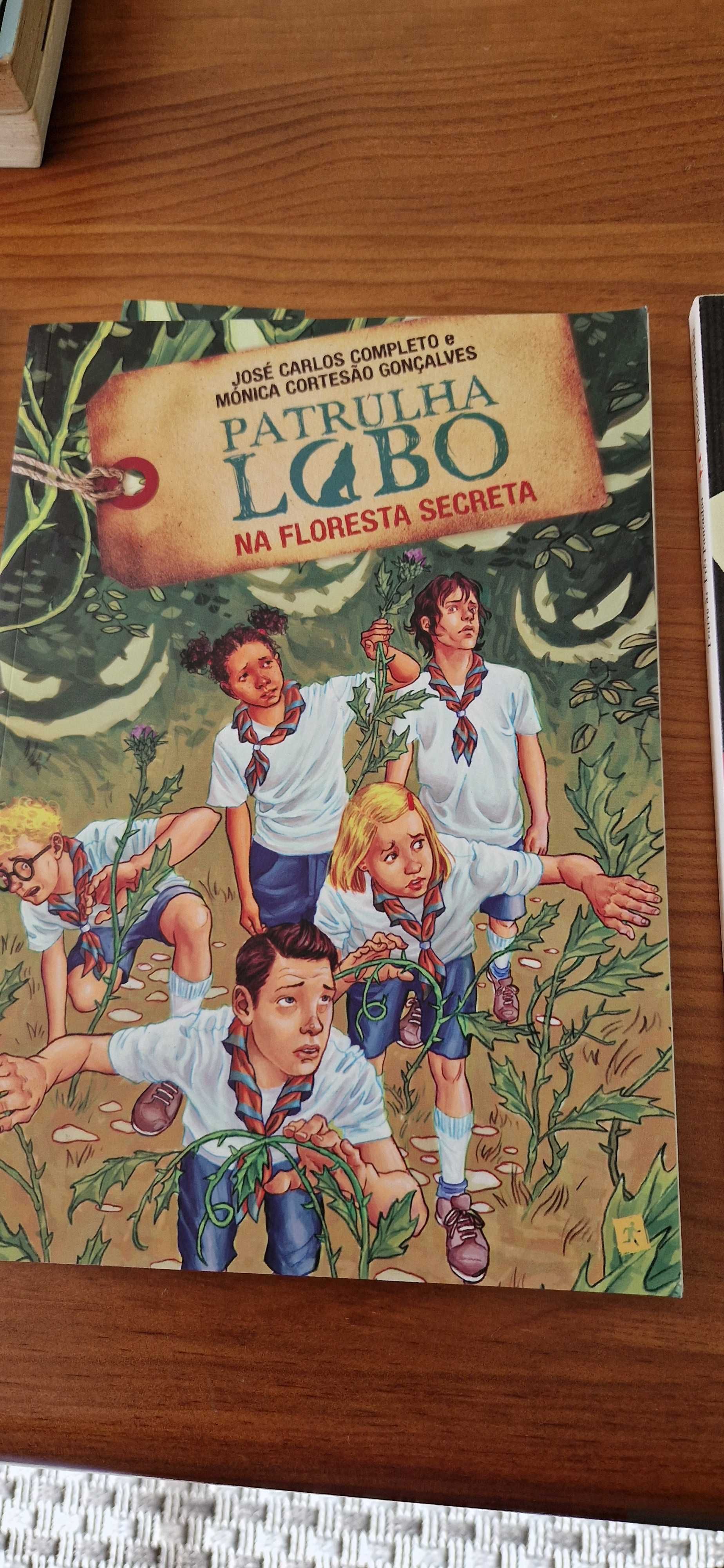 conjunto de 3 livros para jovens