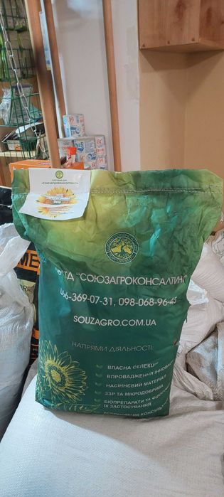 насіння соняшнику