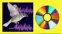 Відлякувач птахів (звуковий диск) CD Mp3