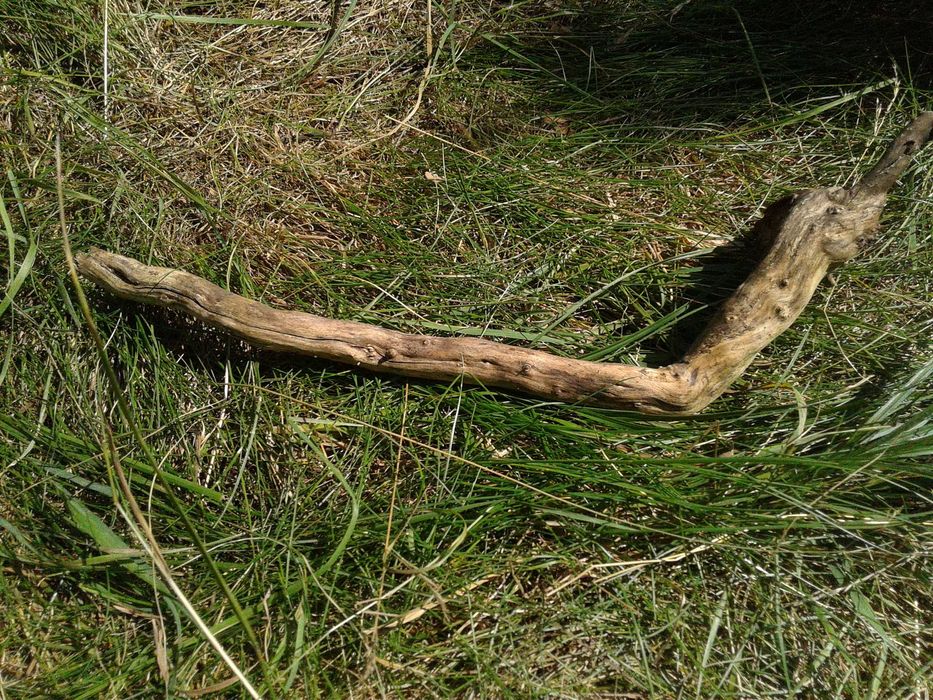 Korzeń lilak terrarium, akwarium, skalniak