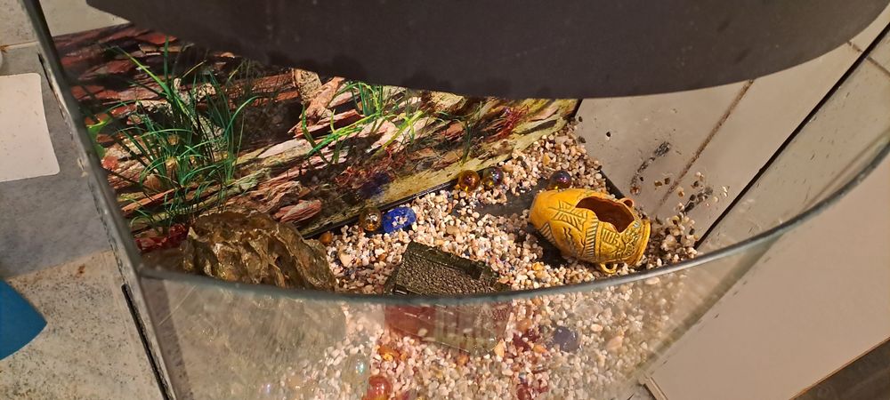 Aquario para venda em bom estado