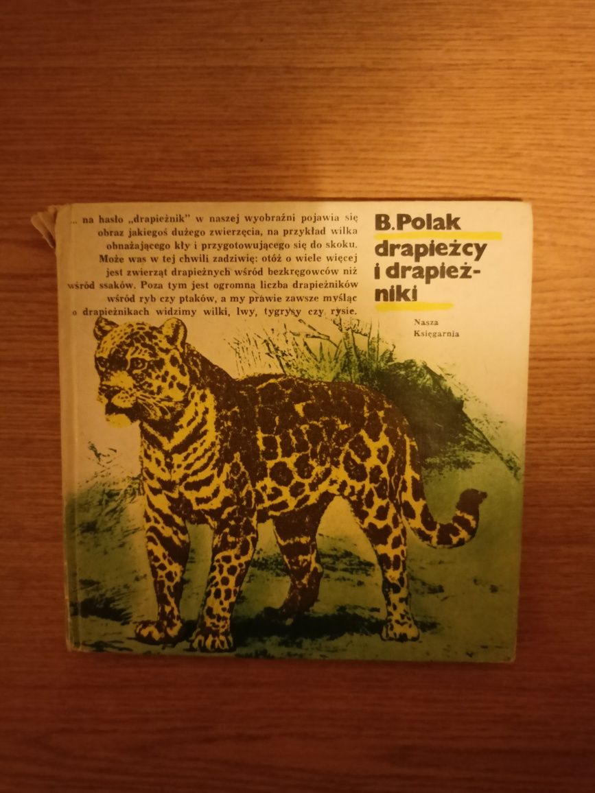 B. Polak drapieżcy i drapieżniki 1979 stara książka PRL vintage