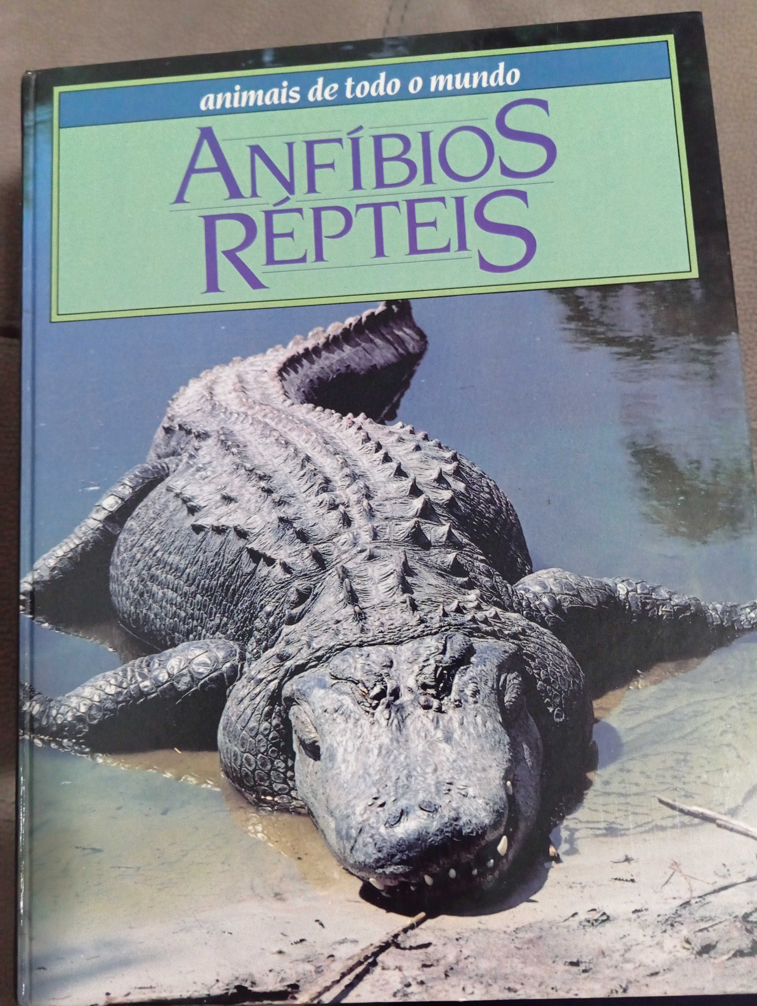 Enciclopédia de 12 livros sobre animais de todo o mundo