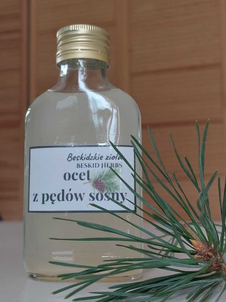 Ocet z pędów sosny BRAK
