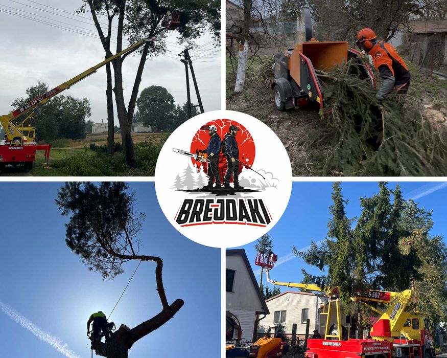 Wycinka Drzew | Pielęgnacja | Karczowanie Działek | Rębakowanie Gałęzi