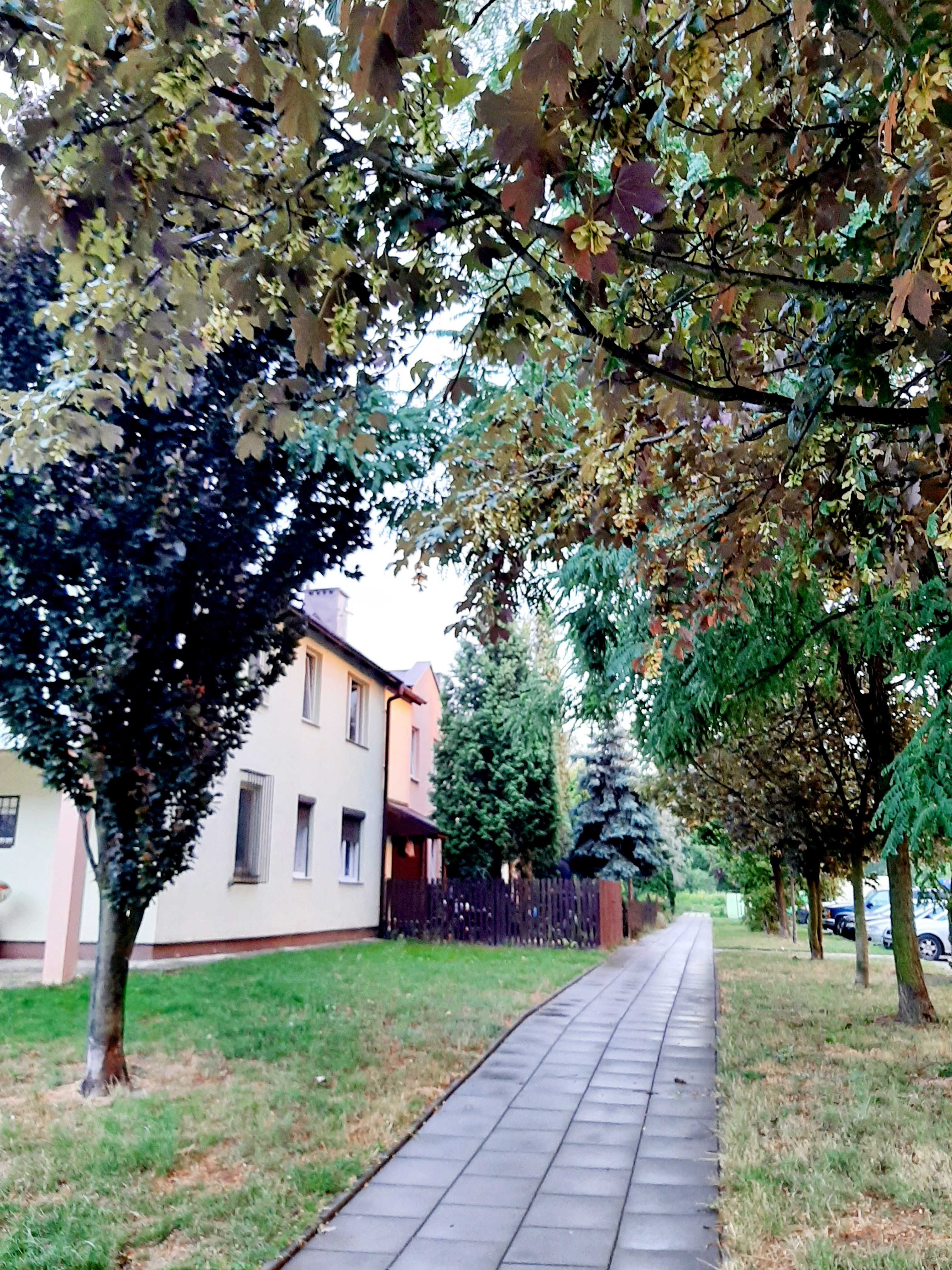 Sliczne i spokojne kawalerka w zielonej i cichej okolicy na Złocieniu