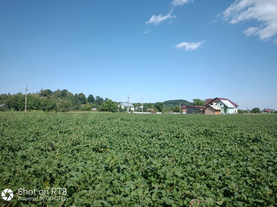 Земельна ділянка с. Вербовець, Косівського району