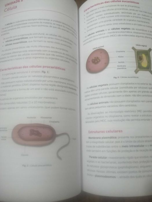 Livro de apoio ao estudo - Biologia e Geologia 10° ano