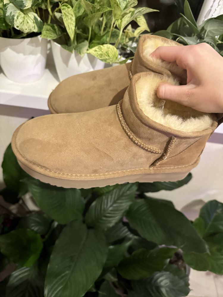 UGG ultra mini antelope(угги, уги) оригінал з офіційного сайту