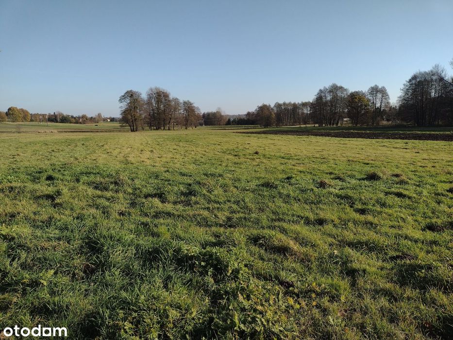 Działka inwestycyjna - budowlana Czyżowice