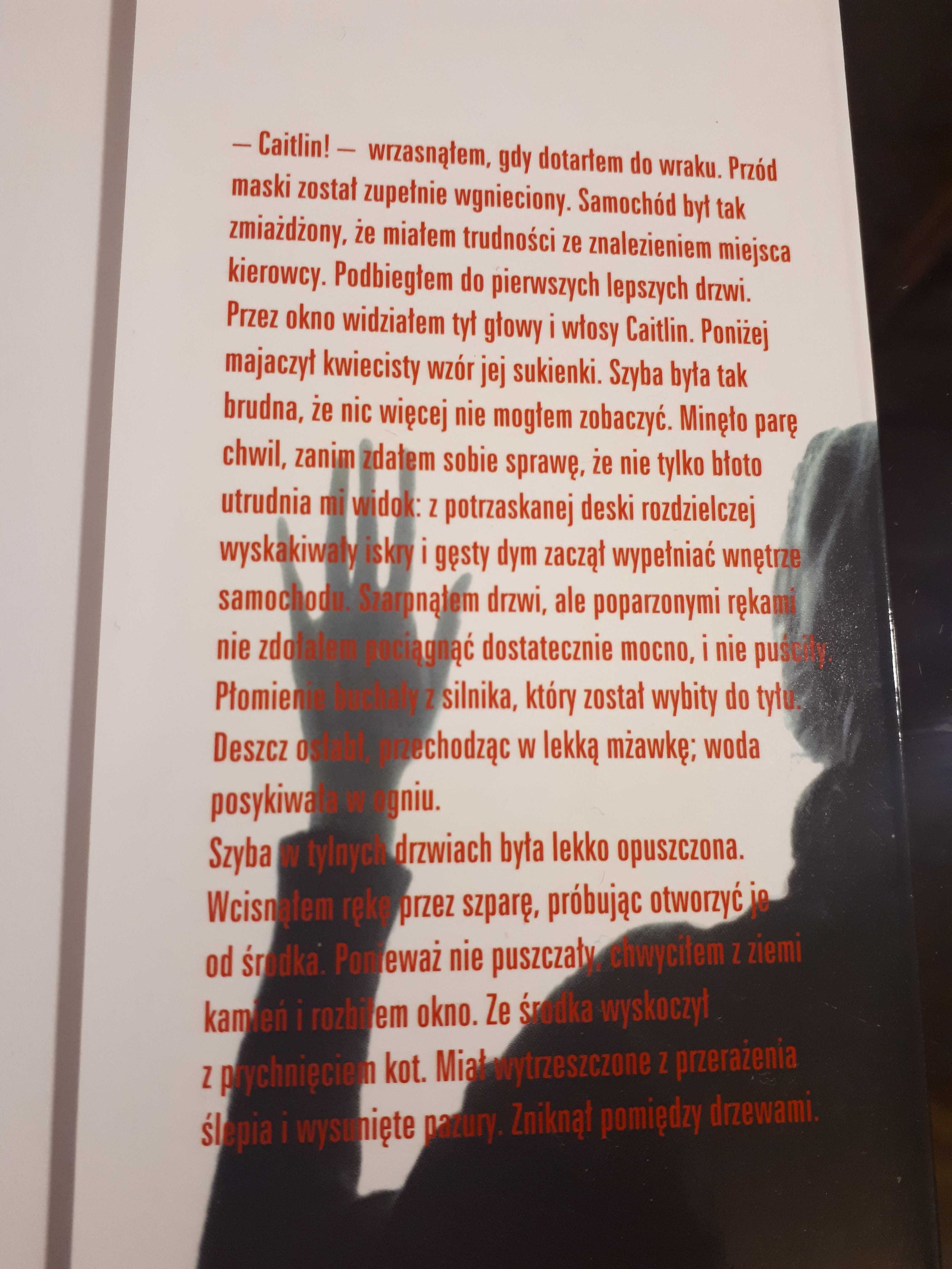 Książka Upadki autora Anne Provoost
