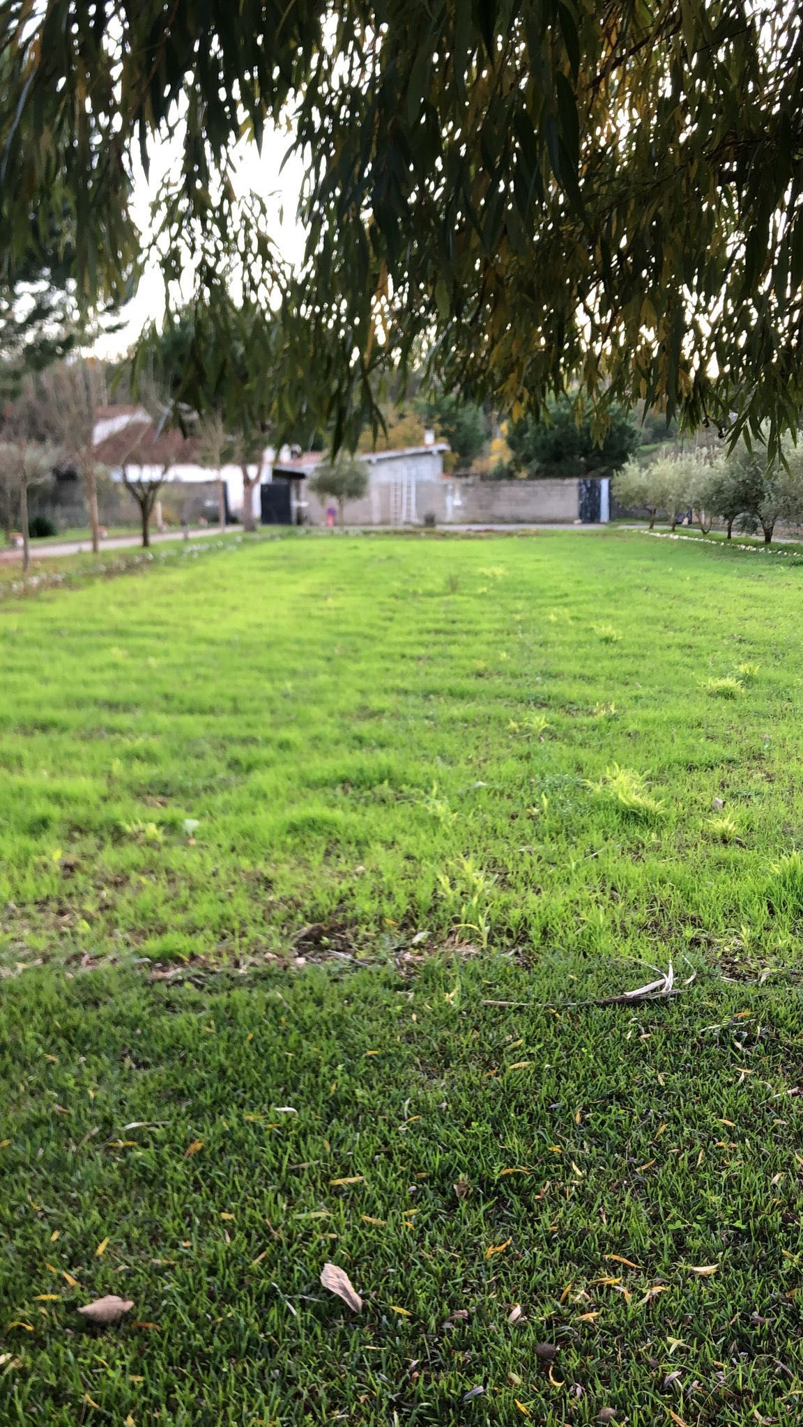 Quarto a alugar em Pombal