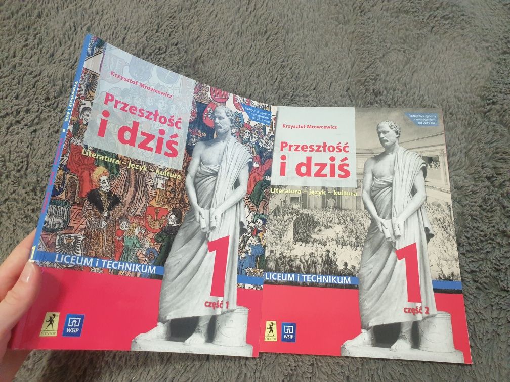 Podręczniki szkolne do liceum język polski historia sztuki historia