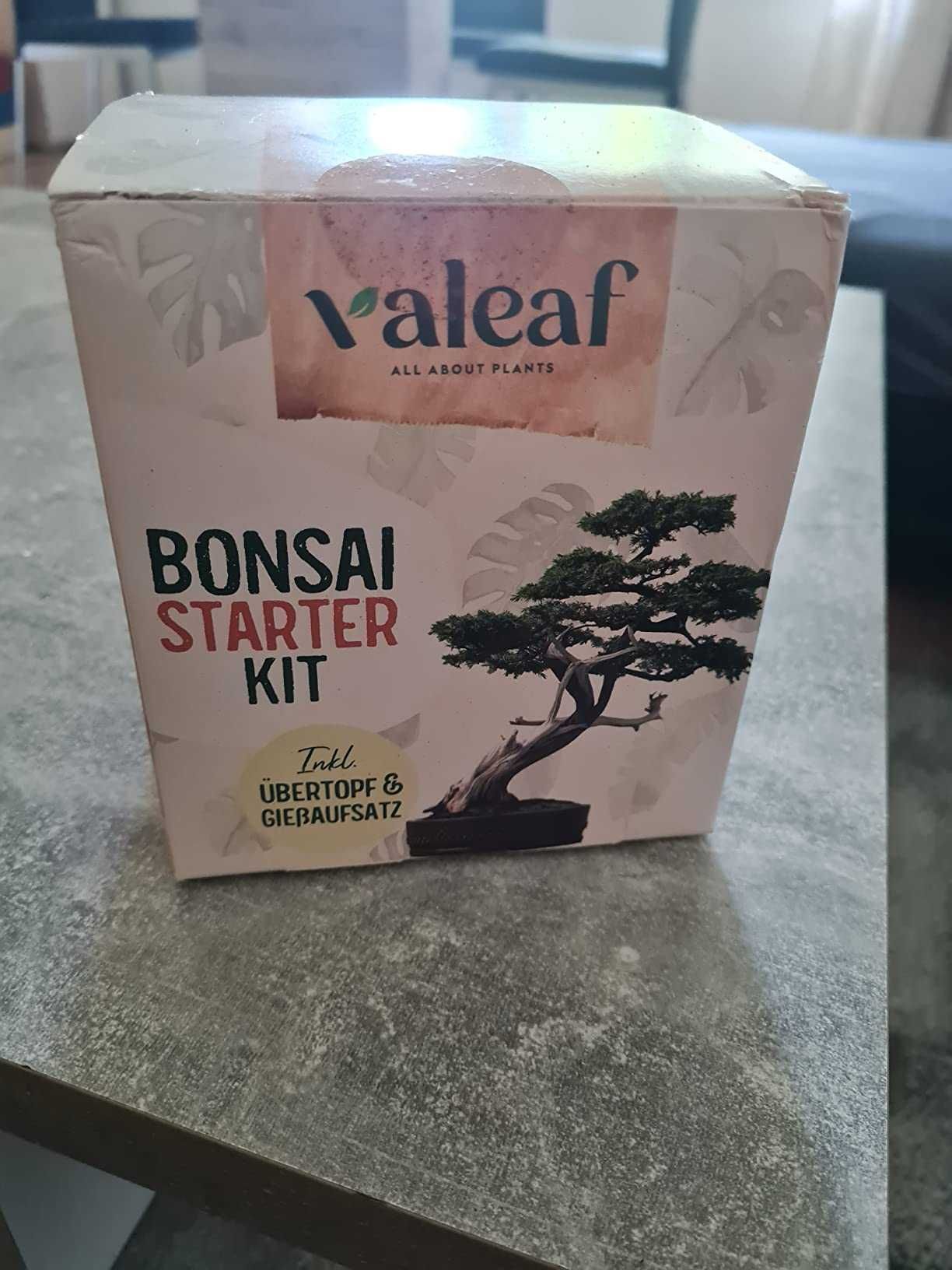 Drzewko Bonsai Kompletny Zestaw do Uprawy Drzewka Nasiona Bonsai