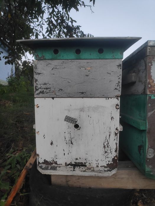 Продам пасіку вулики,