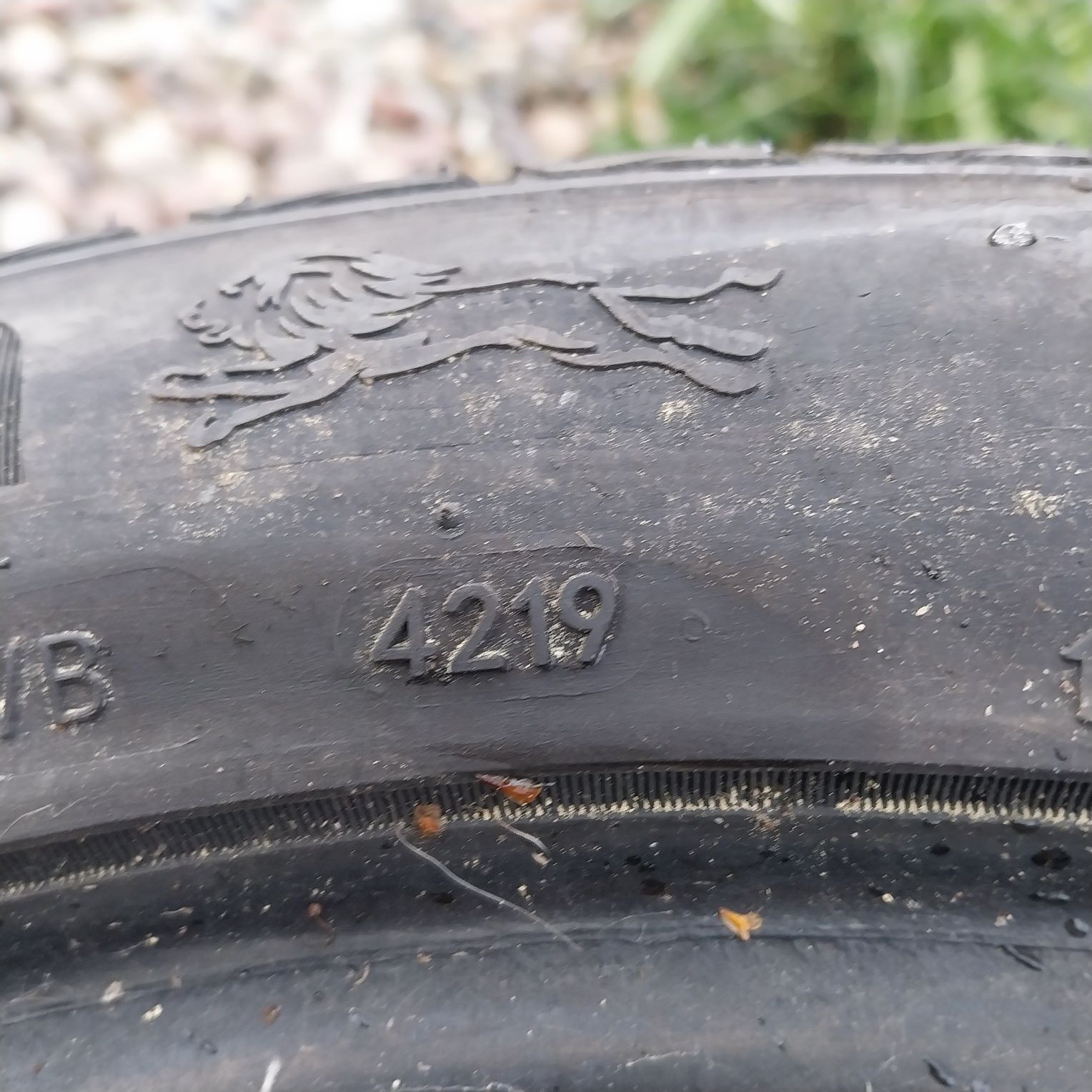 Opona Całoroczne BlackLion 195/50R15 82H